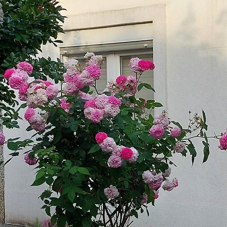 Apartments F Podgorica Zewnętrze zdjęcie