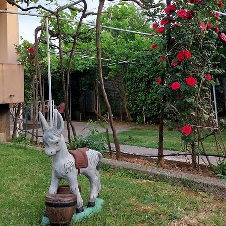 Apartments F Podgorica Zewnętrze zdjęcie