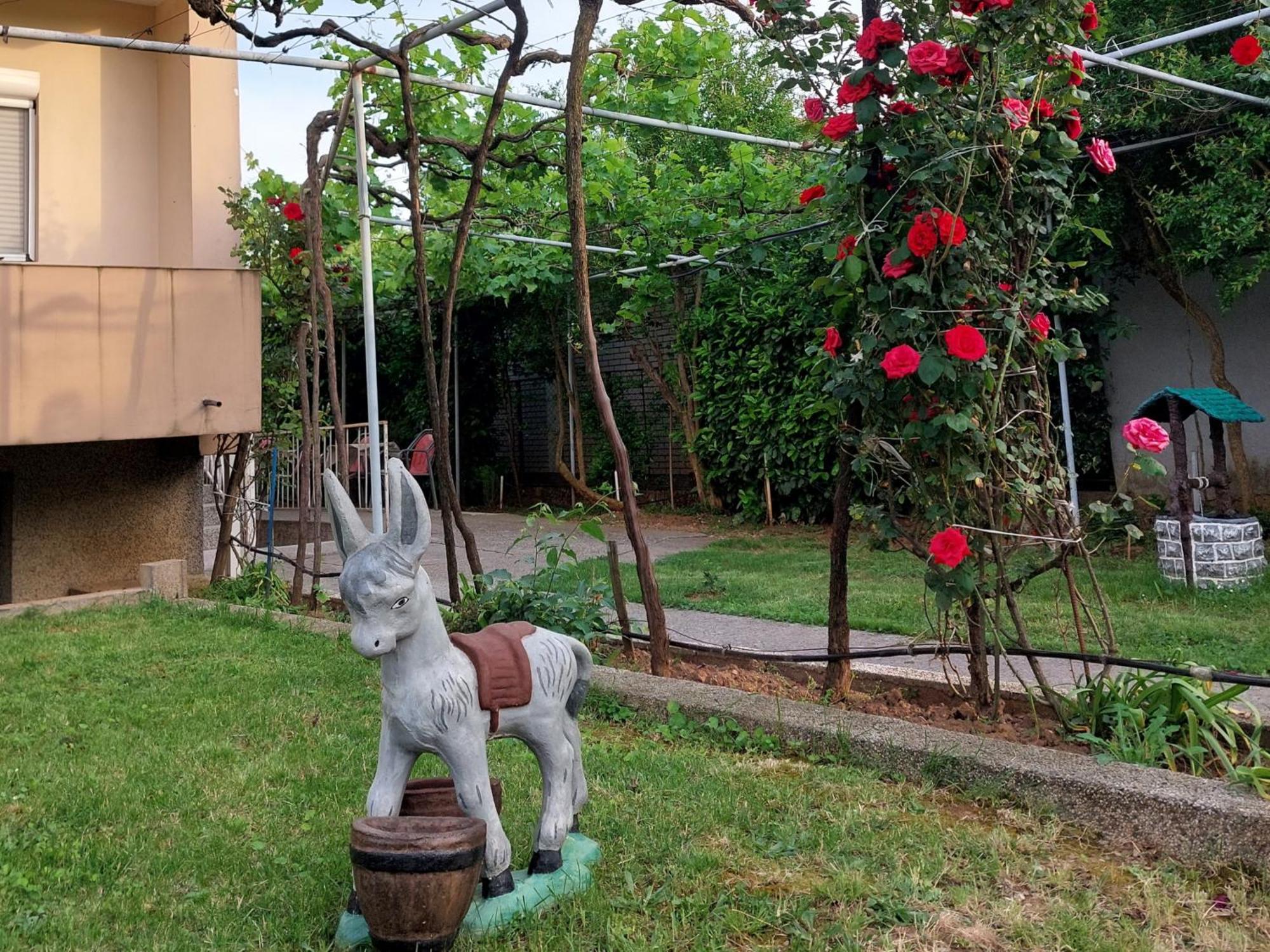 Apartments F Podgorica Zewnętrze zdjęcie